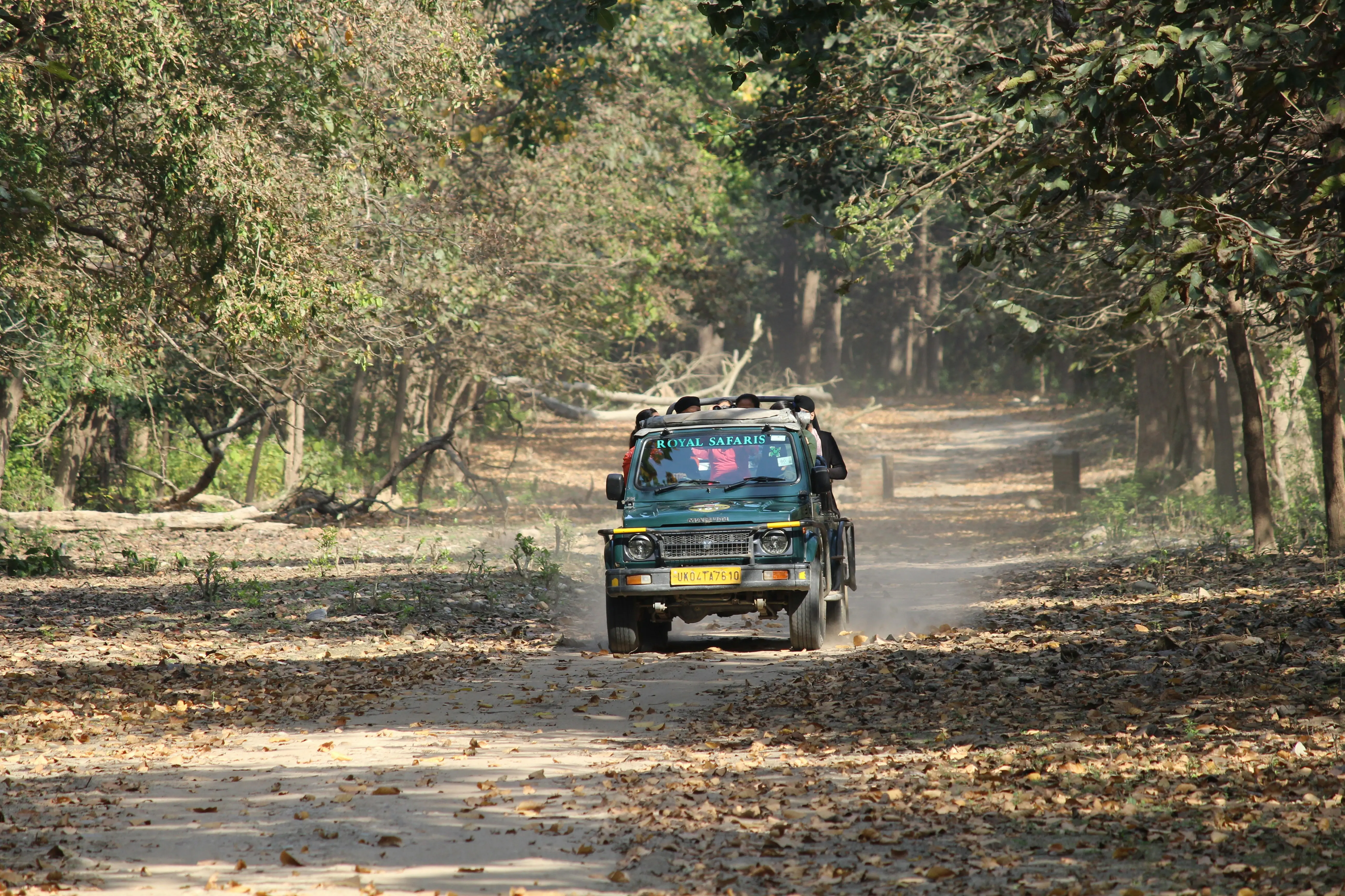 safari-booking-ranthambhore